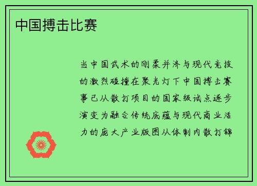 中国搏击比赛